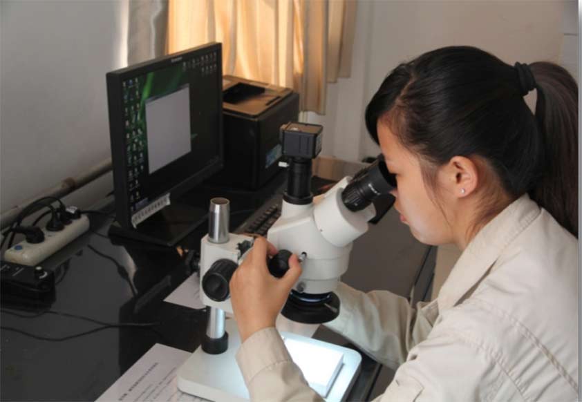 Stereo microscope analysis low magnification